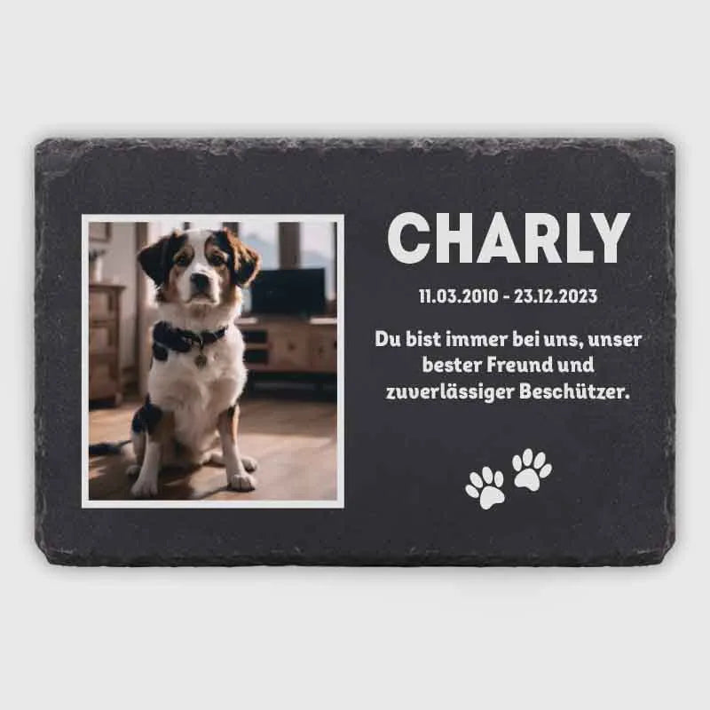 Personalisierte Grabplatte mit Foto für Hund, Katze, Haustiere - Speicher - Image 1